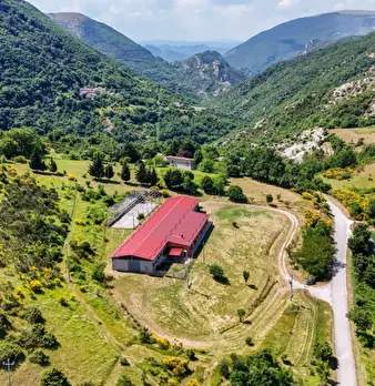 Foto annuncio 1