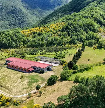 Foto annuncio 2