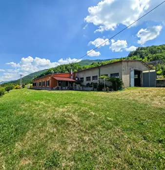 Foto annuncio 3