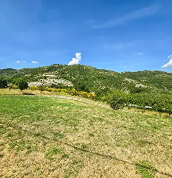 Foto annuncio 21