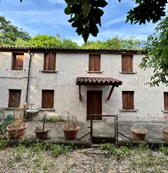 Foto annuncio 2
