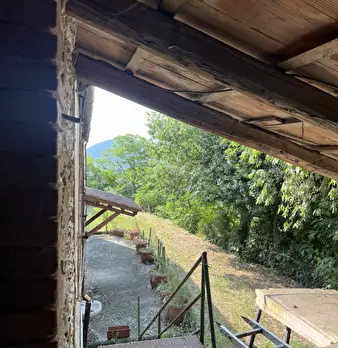 Foto annuncio 11
