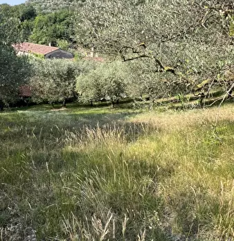 Foto annuncio 13