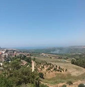 Foto annuncio 4
