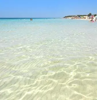 Foto annuncio 11