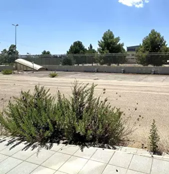 Foto annuncio 15