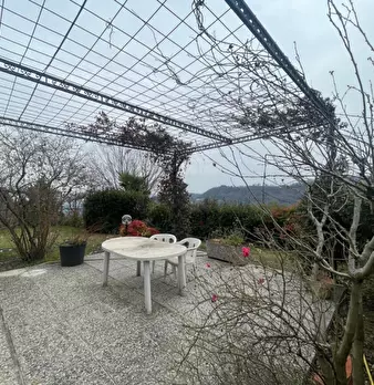 Foto annuncio 5