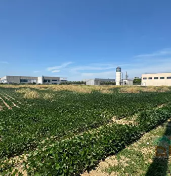 Foto annuncio 7