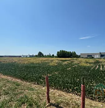 Foto annuncio 9