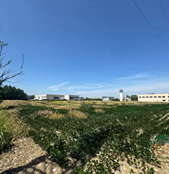 Foto annuncio 11