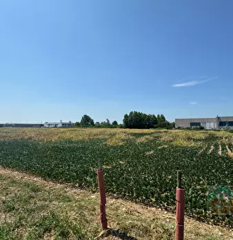 Foto annuncio 18