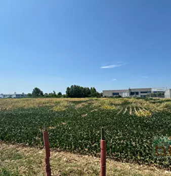 Foto annuncio 19