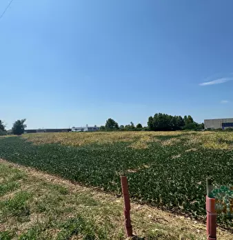 Foto annuncio 20