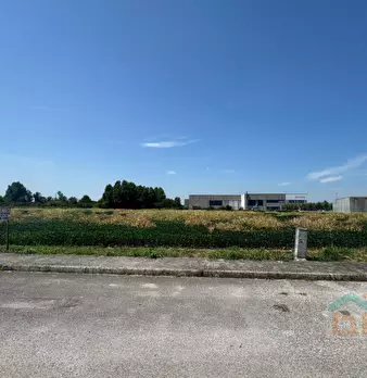 Foto annuncio 21