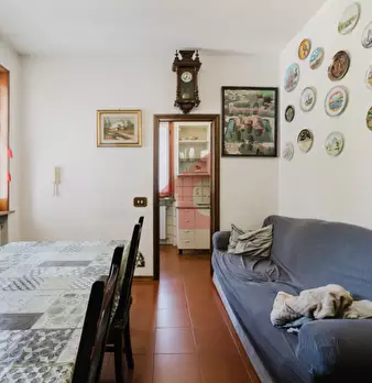 Foto annuncio 47