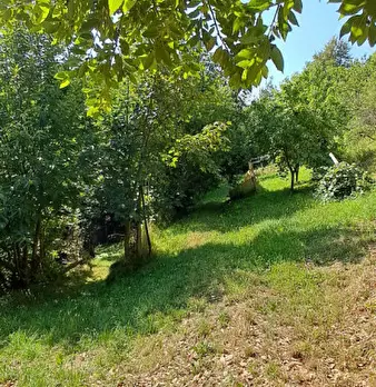 Foto annuncio 16