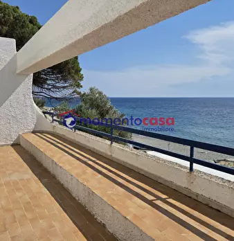 Foto annuncio 29