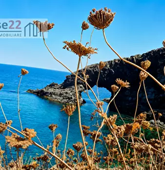 Foto annuncio 29