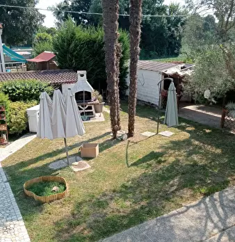 Foto annuncio 58