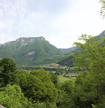 Foto annuncio 61