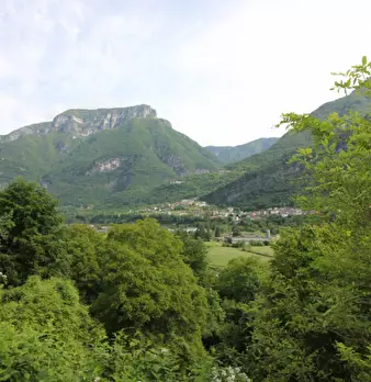 Foto annuncio 62