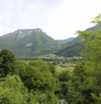 Foto annuncio 63