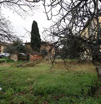 Foto annuncio 22