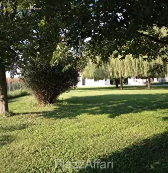 Foto annuncio 9