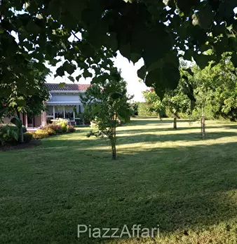 Foto annuncio 11