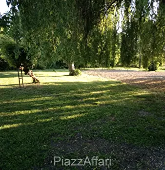 Foto annuncio 12
