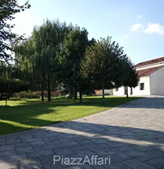 Foto annuncio 19
