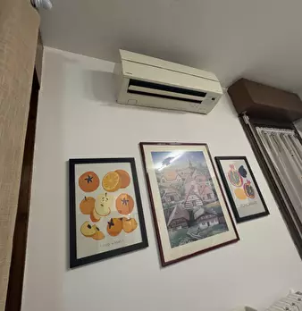 Foto annuncio 9
