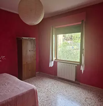 Foto annuncio 12