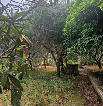 Foto annuncio 25