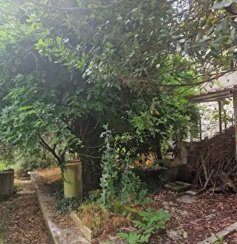 Foto annuncio 26
