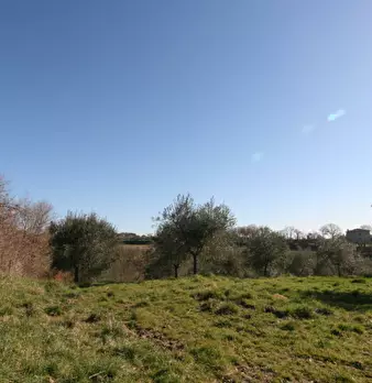 Foto annuncio 12