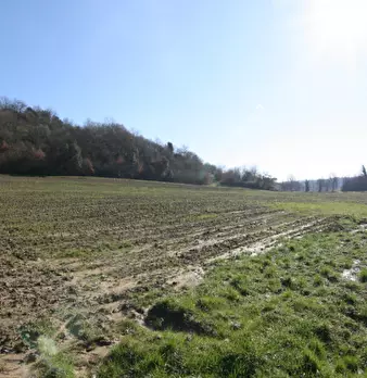 Foto annuncio 2