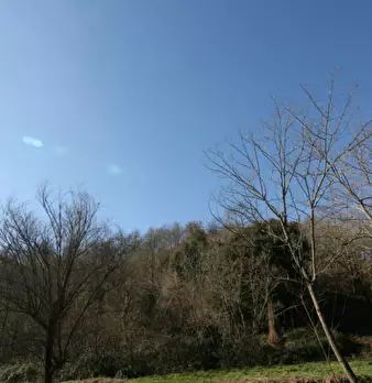 Foto annuncio 7