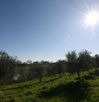 Foto annuncio 15