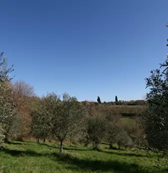 Foto annuncio 18