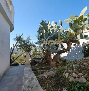 Foto annuncio 60