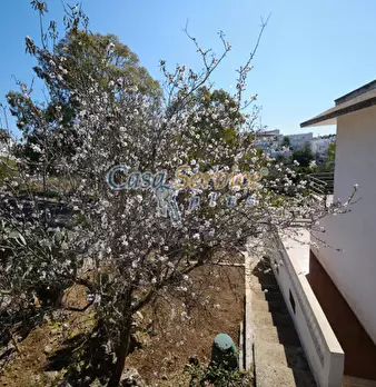 Foto annuncio 73