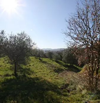 Foto annuncio 14