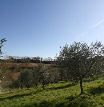 Foto annuncio 19