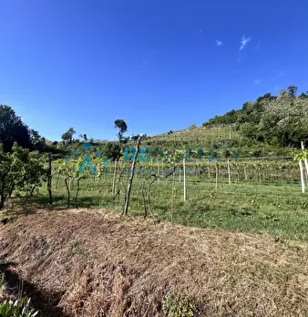 Foto annuncio 32