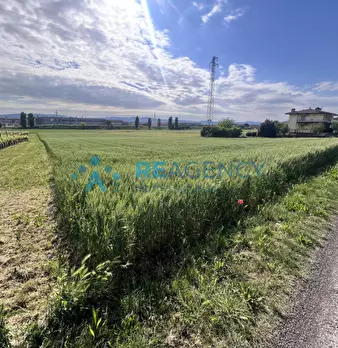 Foto annuncio 40