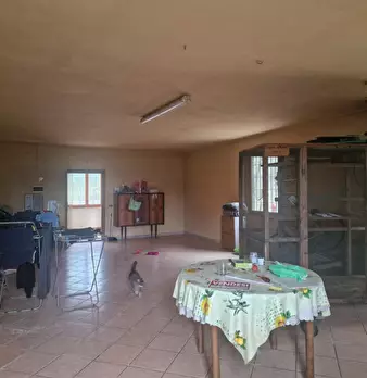 Foto annuncio 8