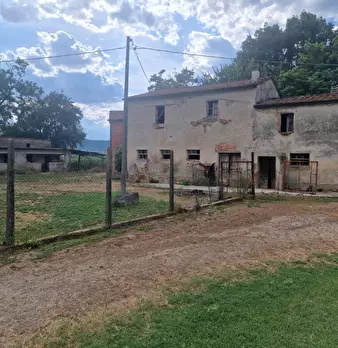 Foto annuncio 34
