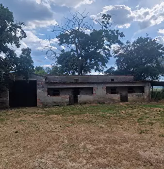 Foto annuncio 38