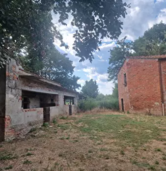 Foto annuncio 40